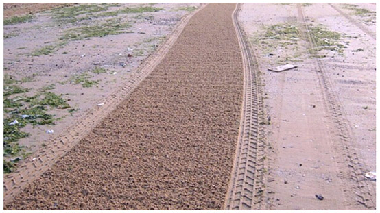 清理過后的沙灘